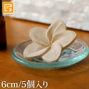 tWpj Ebht[(i`) 6cm (5) y A}Ebh 킢 AWAG vA A}  ʏ gC  A}Xg[  oG sps2 zs[֑