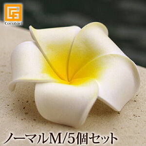 vȂM(5Zbg) y CeA tFCN  썑 gsJ A {  o nC oG nCAG C } CeA CeAG zs[