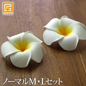 vȂ(MELZbg) y CeA tFCN  썑 gsJ A {  oG nCAG zs[֑Ήt