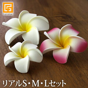 vȂ(SEMELZbg)A y CeA tFCN  썑 gsJ A {  oG nCAG sps2 zs[֑Ήt