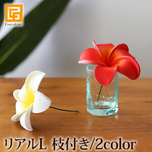 vȂL A (}t) y sbNt  CG[ CeA tFCN  썑 gsJ A {  o nC oG nCAG z