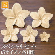 フランジパニ ウッドフラワー(ナチュラル)スペシャルセット(5サイズ×各1個) 【 アロマウッド かわいい …