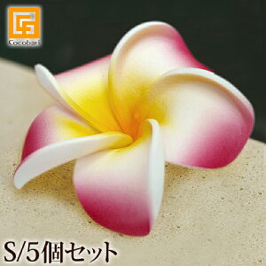 プルメリア 観葉植物の人気商品 通販 価格比較 価格 Com
