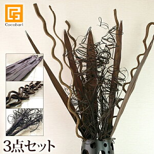 fR[VZbg[t5 _5{ }3 y ؂̎} CeA hCt[ } ԍ A[gt[ A[g[t fBXvC AWA o_ o   a 