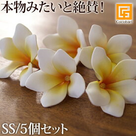 楽天市場 造花 リアルの通販