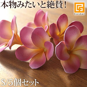 tFCNt[ vASi5ZbgjsN y  tFCN  A {  o nC oG nCAG sps5 zs[֑Ήt