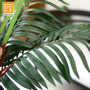 p[[t(L) y tFCN O[ V̗t ϗtA t A[eBtBVt[  gsJ 썑   A {  z