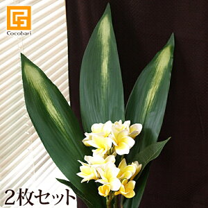 ni2Zbgjy  CeA tFCN O[ ϗtA t A[eBtBVt[ gsJ 썑   A {  z