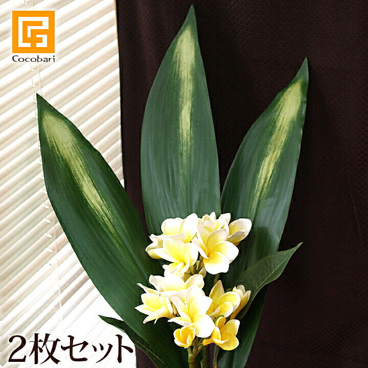 楽天市場 ハラン 2枚セット 造花 リアル 観葉植物 インテリアグリーン フェイクグリーン 南国 夏 トロピカル 葉っぱ バリ 雑貨 アジアン 雑貨 バリ雑貨 アジアン雑貨 アートフラワー アートリーフ インテリアフラワー アーティフィシャル ディスプレイ