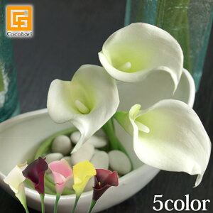 J[B(S)(5J[)y  A[eBtBV t[ A[g t[ CeA gsJ t[ tFCN   A {  z