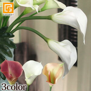 J[B(L) y  A[eBtBV t[ A[g t[ CeA gsJ t[ tFCN   A {  z