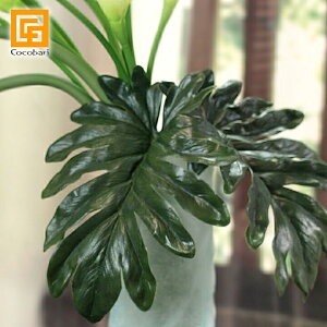 NbJoi2Zbgjy  CeA ϗtA ^j^ CeAO[ tFCNO[ 썑  gsJ t oG AWAG A[gt[ A[g[t A