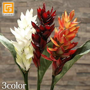 WW[(GL]`bN) y  A[eBtBV t[ A[g t[ CeA gsJ t[ tFCN   A {  z