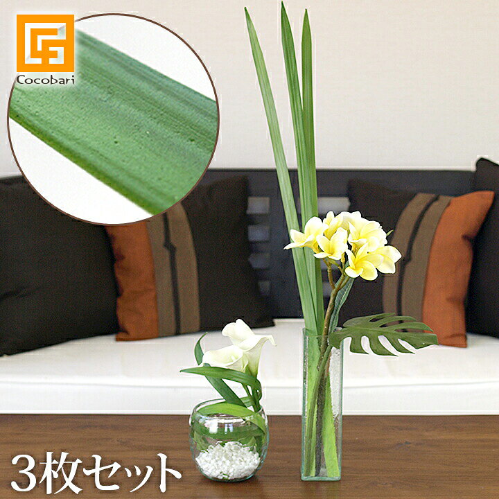 楽天市場 オクラレルカ 3枚セット 造花 リアル 観葉植物 インテリアグリーン フェイクグリーン 南国 夏 トロピカル 葉っぱ アートフラワー アートリーフ アーティフィシャル ディスプレイ アレンジメント 高級感 バリ雑貨ココバリ アジアン雑貨