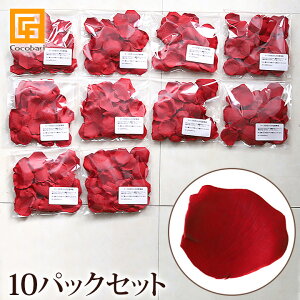 [ỶԂт s10pbNZbgt y   A o  EFJt[ EFfBO  t[V[ A[gt[  {݂  A {  