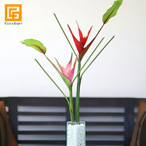 wRjA(V[v) y  A[eBtBV t[ A[g t[ CeA gsJ t[ tFCN   A {  z