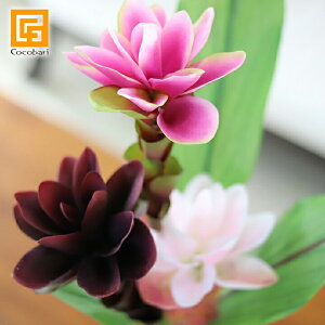 WW[(r[eB) y A[eBtBV t[ A[g t[  CeA gsJ t[ tFCN   A {  z