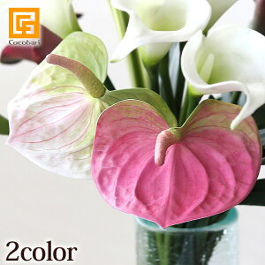 ▭J[̃AXE yA[eBtBV t[ A[g t[  CeA gsJ t[ tFCN   A {  z