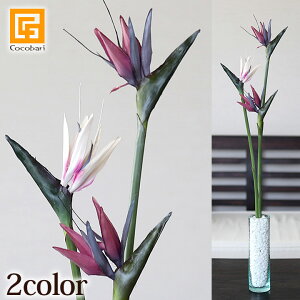 NEW Xg`A(S) yA[eBtBV t[ A[g t[  CeA gsJ t[ tFCN   A {  z