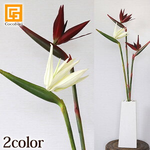 NEW Xg`A(L) yA[eBtBV t[ A[g t[  CeA gsJ t[ tFCN   A {  z