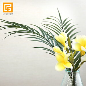 NEW p[[t(S) y tFCN O[ V̗t ϗtA t A[eBtBVt[  gsJ 썑   A {  z