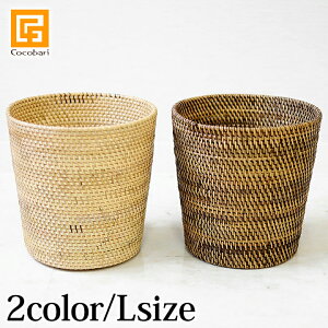 Jo[(^) LTCY y  ی^ i` ϗtA  v^[Jo[ oXPbg S~ Rf VRfށ@o AWA z