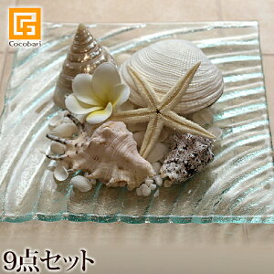 Lk̃][gR[f9_Zbg y CeA IuWF C VF o 썑 nC ][g C G z