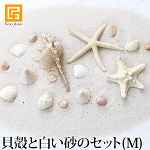 LkƔ̃Zbg(M) y CeA IuWF } C gC  fBXvC o oG  z