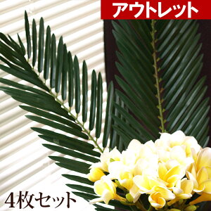 観葉植物 アウトレット 観葉植物の人気商品 通販 価格比較 価格 Com