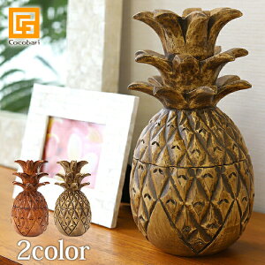 pCibv̏ H27cmy u IuWF CeA o nC  ؒt[c ʕ CeAG nCAG z