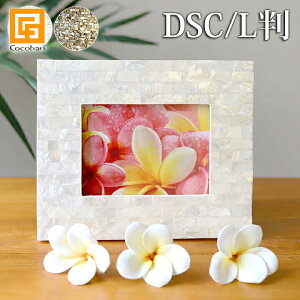 tHgt[iVFjDSC/Lp(2FWJ) y Ǌ| Lk  nCAG ʐ^ CeA o nC o CeAG i`z