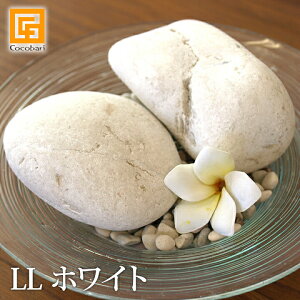 i`Xg[iLLjzCgi2j y ϐ  p Xg[yCeBO@ F ϗtA CeA yB z