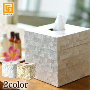 VF̃[eBbV{bNX(p^) y gCbgy[p[ P[X \ [ eBbV{bNX JsXLCeAG z