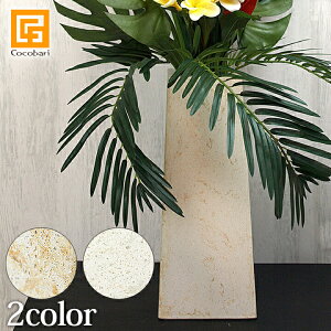 Xg[VASE(e]) y t[x[X ԕr  傫 傫 ^ Vv Ԋ 嗝  `  _ z