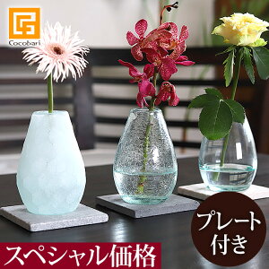 ۂĂ t[x[X y KX ԕr ֑} Ԋ k 12cm  o  z