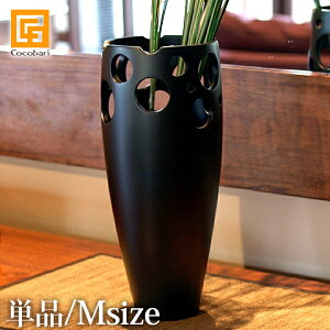 `[ÑA[gIuWF(Pi)(MTCY) _[NuE yؐ ԕr t[x[X o oG o AWAG CeA  @킢 _ Vv fUC