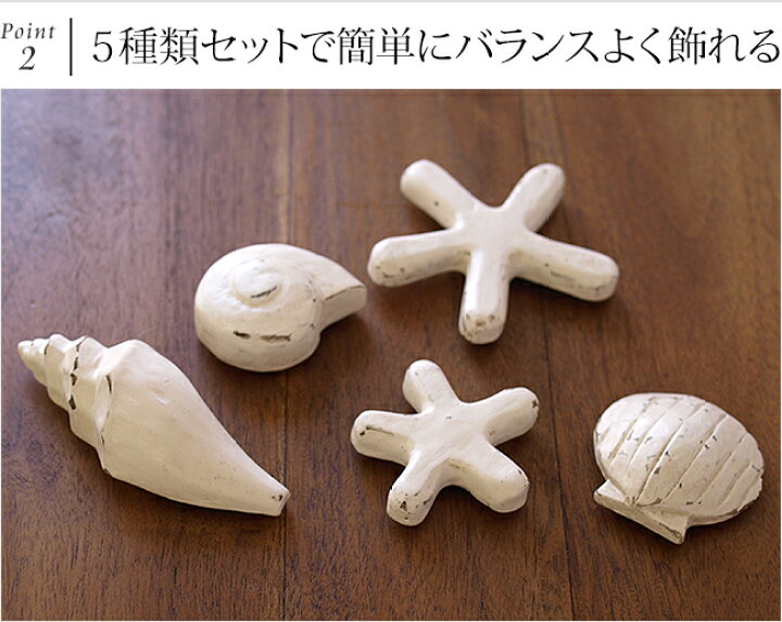 楽天市場 マグネット シェル スター 5種類セット 貝 3種類 ヒトデ 2サイズ シェル マグネット 貝殻 リゾート マインアイテム 海雑貨 海 貝 ヒトデ 海のインテリア バリ リゾート バリ雑貨ココバリ アジアン雑貨