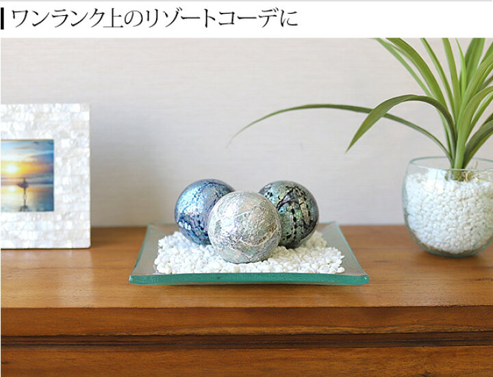 楽天市場】OCEANシェルのデコレーション(3色展開) 【 貝 インテリア 
