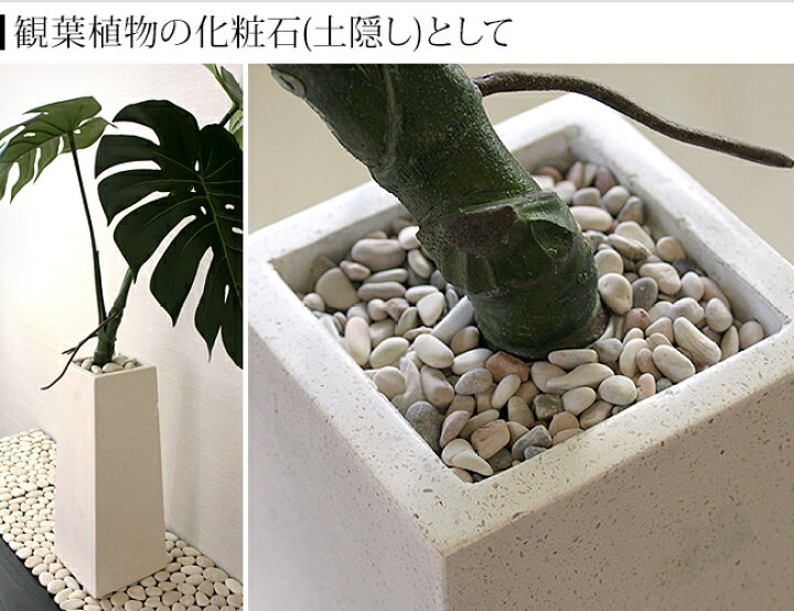 楽天市場 ナチュラルストーン Ss ミックス 化粧石 飾り石 観葉植物 マルチング 装飾用 化粧砂利 おしゃれ 小物 小石 土隠し バリ島 アジアン雑貨 メール便対応可 バリ雑貨ココバリ アジアン雑貨 楽天市場 ナチュラルストーン Ss ミックス 化粧石 飾り石 観葉植物 マルチング 装飾用 化粧砂利 おしゃれ 小物 小石 土隠し バリ島 アジアン雑貨 メール便対応可 バリ雑貨ココバリ アジアン雑貨