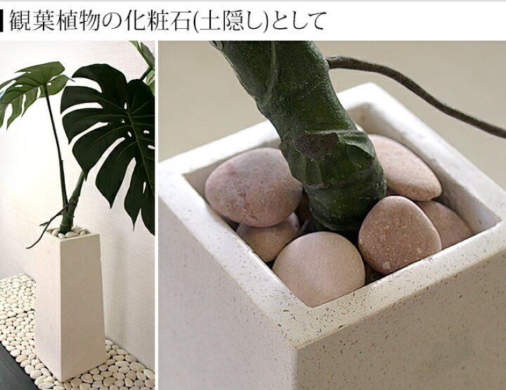 楽天市場 ナチュラルストーン M ピンク 化粧石 飾り石 観葉植物 マルチング 装飾用 石 インテリア トイレ タンク 飾り 土隠し バリ風 おしゃれ バリ雑貨ココバリ アジアン雑貨