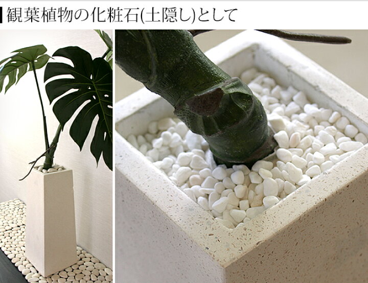 楽天市場 ナチュラルストーン Ss スノーホワイト 化粧石 飾り石 観葉植物 マルチング 装飾用 化粧砂利 アジアン 雑貨 バリ雑貨 バリ風 小物 バリ 雑貨 白い石 白色 小粒 小石 土隠し 再入荷 メール便対応可 バリ雑貨ココバリ アジアン雑貨