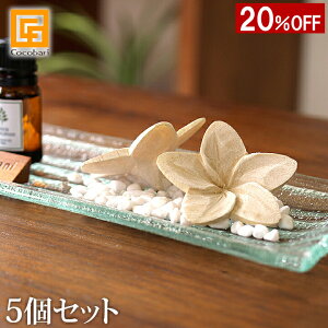 y1200~N[|zzztWpj Ebht[(i`) 6cm (5) y A}Ebh 킢 AWAG vA A}  ʏ gC  A}Xg[  