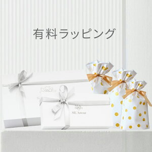 Giftbag Giftbox ギフト袋 ギフトボックス ラッピング ボックス ギフト 包装 プレゼント用 ギフト用 祝い 母の日