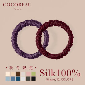 【40%OFFクーポン配布中】10/11(日) 01:59まで【楽天1位】【2点セット】COCOBEAU ヘアゴム シルク シュシュ 絡まない 1cm 22匁 シュシュ 大人 シルク100％ ヘアアクセサリー 高級 切れ毛対策 毛崩れにくい ゴム跡がつきにくい 母の日 プレゼント クリスマス