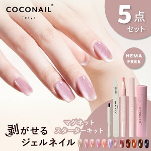 【秋新色発売★初心者5点セット】HEMAフリー 水光マグネットジェルネイル はがせるスティック スティックライト キット セルフネイル ベース ピールオフ オールインワン ネイリスト監修 母