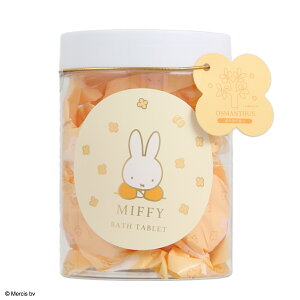 fBbNEu[i oX^ubg  ~btB[  MF24481 Dick Bruna ؍҂̂ oXMtg  oXtBY C  킢 oXObY Mtg oX{ v[g L