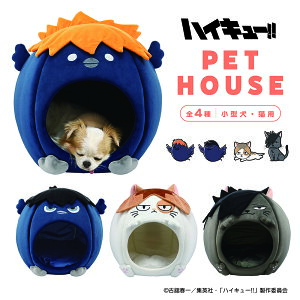 nCL[!! h[^ybgnEX ^ELp qiKX JQKX P}lR NIlR ybg pi ybgnEX h[^   L 񂿂 lR IV 