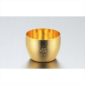 u v18-8XeXbLdグۂ݁ij SK-001