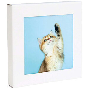 �ǂɏ���h�Ѓg�C�������Z�b�g(5��) �A�[�g�g���� �˂� ���j ���j�� ���j ��j �L�O�i �o�Y���j�� �v���[���g ���C�j�� �e���{ ���o��