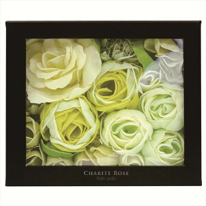 Ve[YoXy^ OB-DRP-1-3 j j j j LOi oYj v[g Cj e{ o